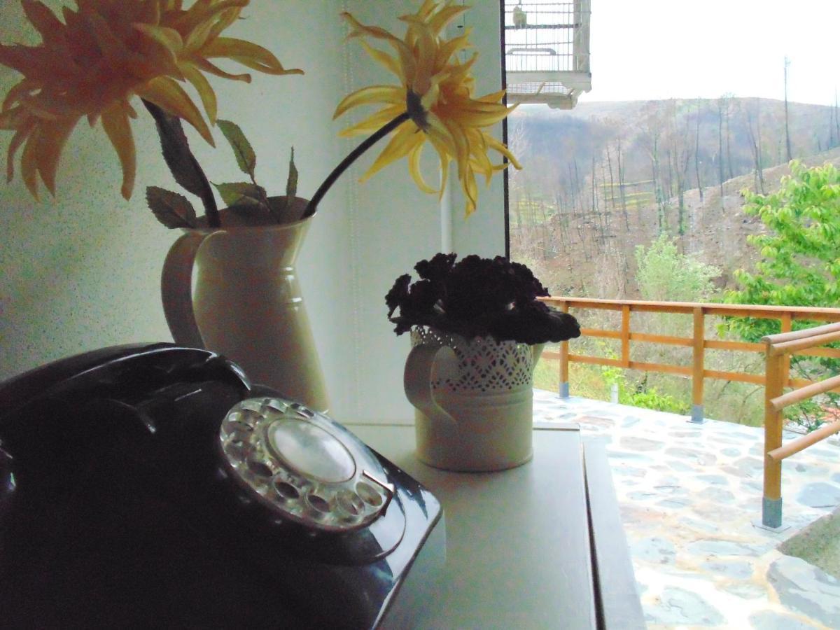 Casa Do Alto - Benfeita Bed & Breakfast Luaran gambar