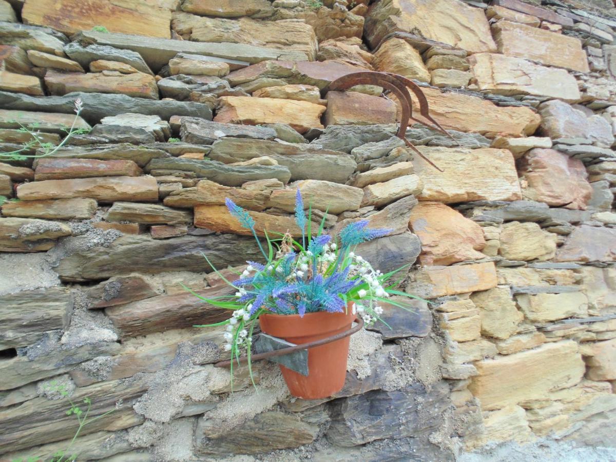 Casa Do Alto - Benfeita Bed & Breakfast Luaran gambar
