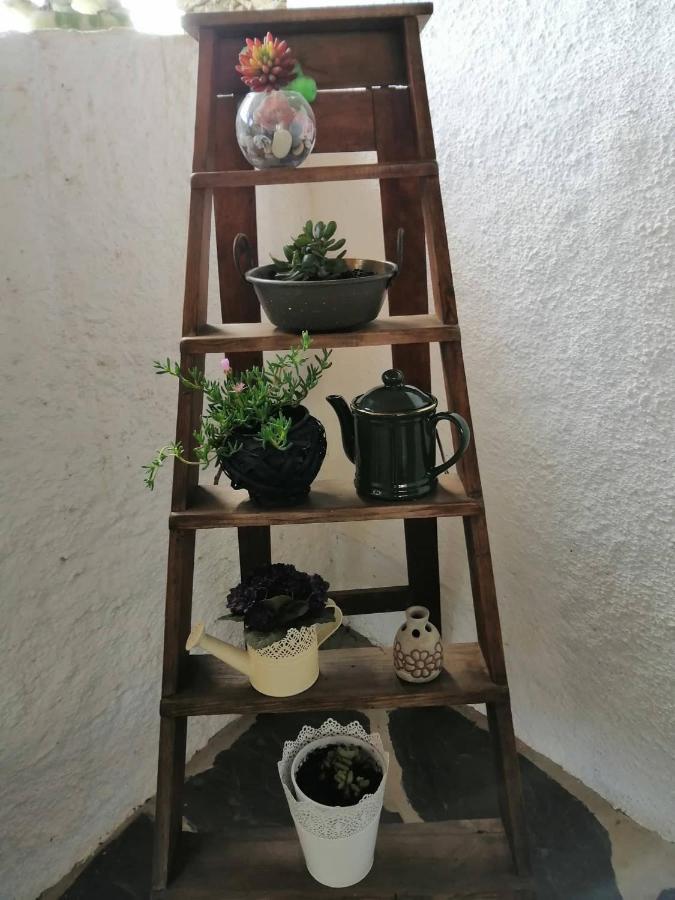 Casa Do Alto - Benfeita Bed & Breakfast Luaran gambar